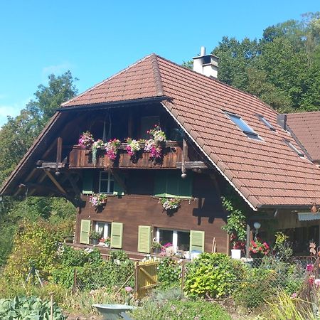 Bright, Sunny Holiday Apartment On The Farm Buchholterberg Exterior foto